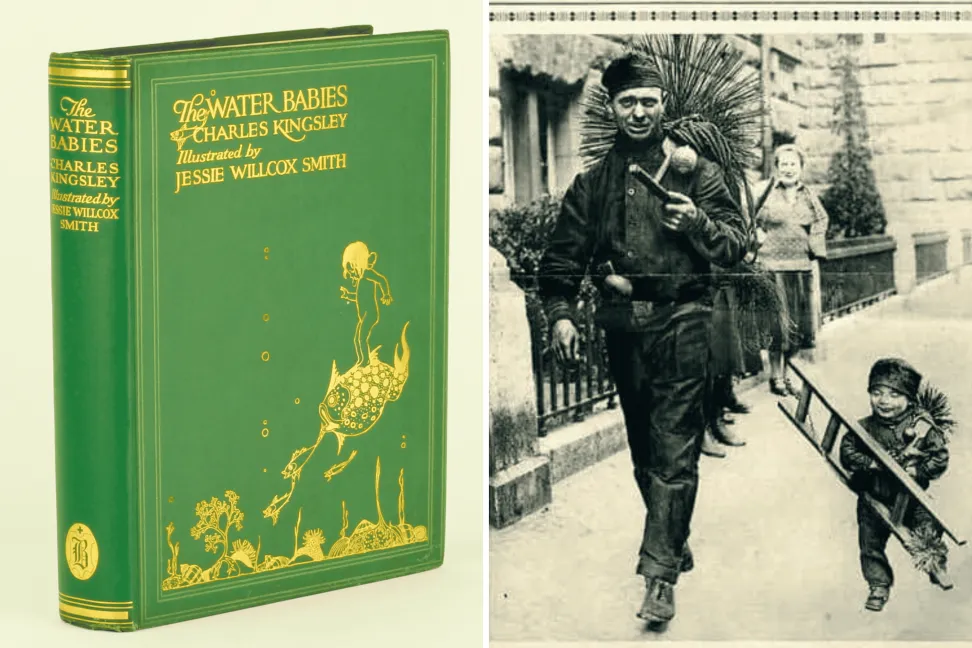 Su Bebekleri: Bir çocuk masalının içindeki sınıf gerçeği