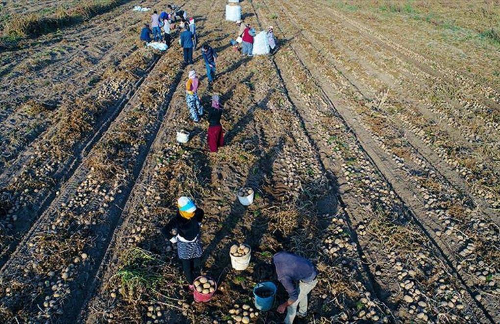 Sıcakta çalışmak ölümcül: İşçiler destek bekliyor - Elif Karçık, Sezgin Kılıç, Mehmet Çak ve Haluk Çalışır ile söyleşi