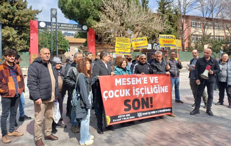 Sermayeye kaynak transferi olarak MESEM: 100 milyar TL - Kansu Yıldırım